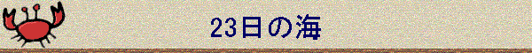 23̊C