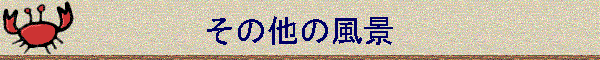 ̑̕i