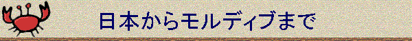 {烂fBu܂