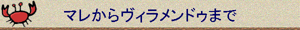 }烔BhD܂
