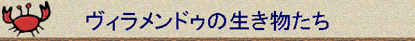 BhD̐