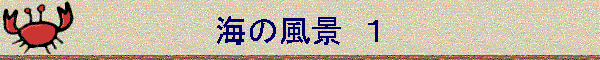 C̕i@P