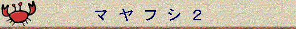 }@@t@V@Q